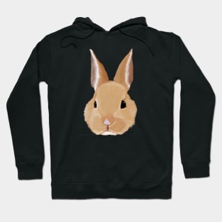 Bunny Rabbit Hoodie